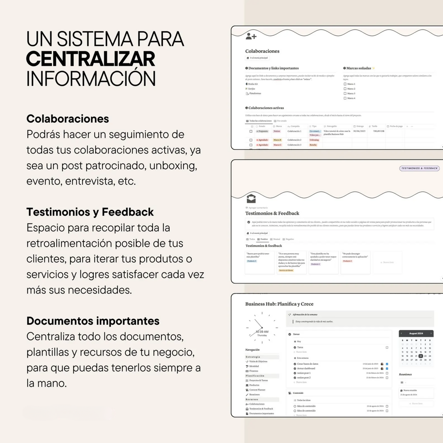 Notion Business Template